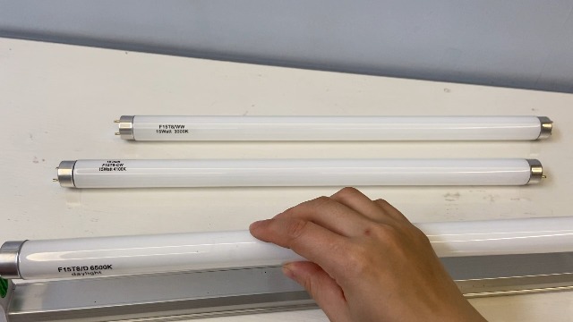 Amazon.com: Flyercatch 18inch F15T8-D Daylight 15W Fluorescent